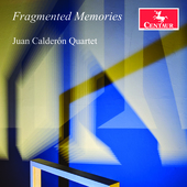 Album artwork for Fragmented Memories