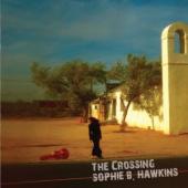 Album artwork for Sophie B Hawkins The Crossing