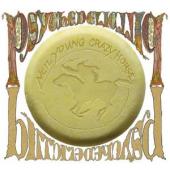 Album artwork for Neil Young & Crazy Horse: Psychedelic Pill