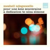 Album artwork for Meshell Ndegeocello - pour une ame souveraine