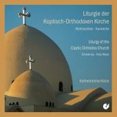 Album artwork for Liturgy of the Coptic Orthodox Church - Christmas