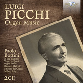 Album artwork for Picchi: Organ Music