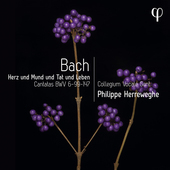 Album artwork for Herz und Mund und Tat und Leben - Bach: Canta