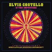 Album artwork for Elvis Costello: Return of the Spectacular Spinning