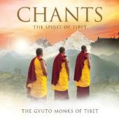 Album artwork for Gyuto Monks: Chants, The Spirit of Tibet