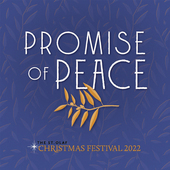 Album artwork for Promise of Peace